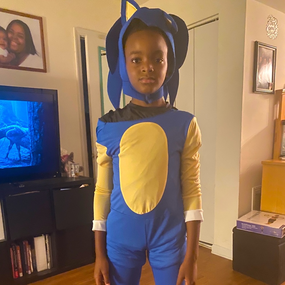 Sonic the Hedgehog costume
